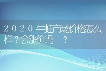 2020牛蛙市场价格怎么样？会涨价吗 ？