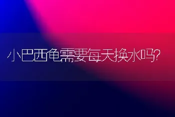 小巴西龟需要每天换水吗？