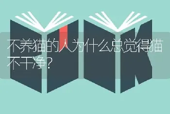 不养猫的人为什么总觉得猫不干净？