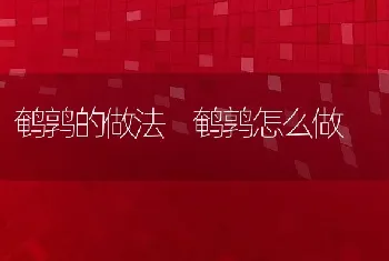 鹌鹑的做法 鹌鹑怎么做