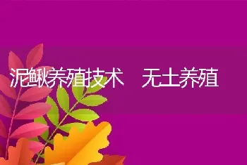 泥鳅养殖技术 无土养殖