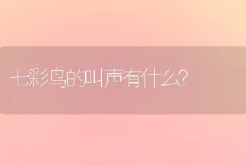 七彩鸟的叫声有什么？