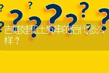 吉娃娃和土狗串的后代怎么样？