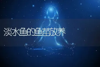 淡水鱼的鱼苗放养