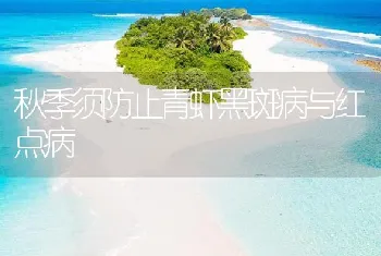 秋季须防止青虾黑斑病与红点病