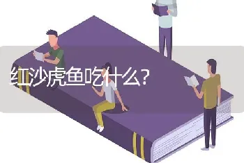 红沙虎鱼吃什么？