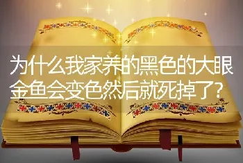 为什么我家养的黑色的大眼金鱼会变色然后就死掉了？