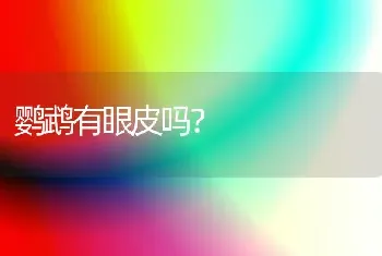 鹦鹉有眼皮吗？