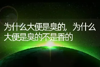 为什么大便是臭的，为什么大便是臭的不是香的