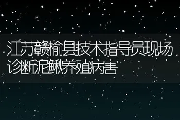 江苏赣榆县技术指导员现场诊断泥鳅养殖病害