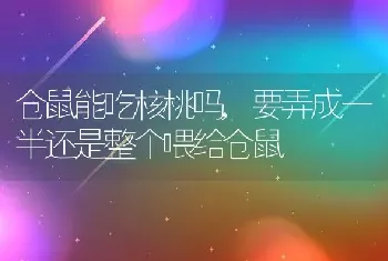 仓鼠能吃核桃吗，要弄成一半还是整个喂给仓鼠