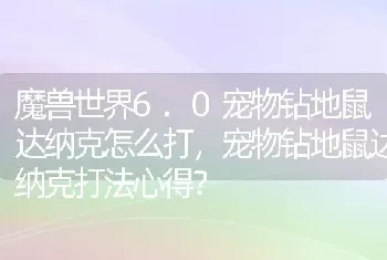 魔兽世界6.0宠物钻地鼠达纳克怎么打，宠物钻地鼠达纳克打法心得？