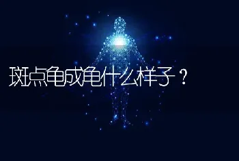 斑点龟成龟什么样子？