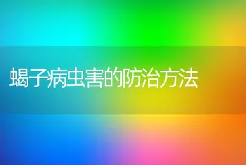 蝎子病虫害的防治方法