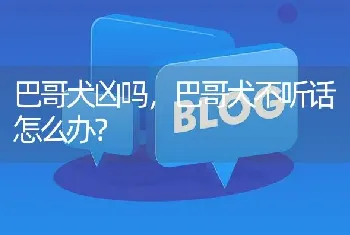 巴哥犬凶吗，巴哥犬不听话怎么办？