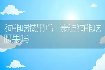 狗能吃腰果吗，泰迪狗能吃腰果吗