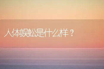 人体蜈蚣是什么样？