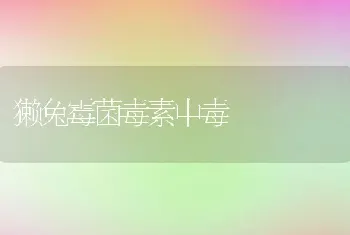 獭兔霉菌毒素中毒