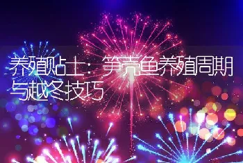 池塘青虾生态高效养殖新技术