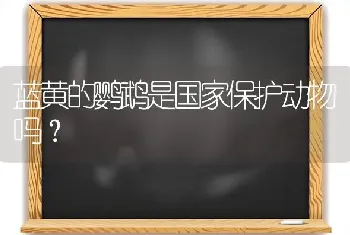 蓝黄的鹦鹉是国家保护动物吗？