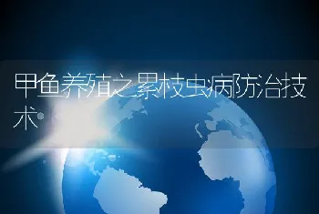 甲鱼养殖之累枝虫病防治技术