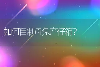 如何自制母兔产仔箱？