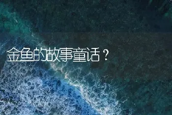 金鱼的故事童话？