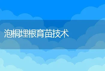 泡桐埋根育苗技术