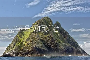 大水面鱼病巧防治