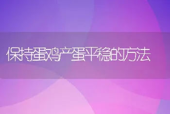 保持蛋鸡产蛋平稳的方法