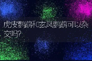 虎皮鹦鹉和玄凤鹦鹉可以杂交吗？