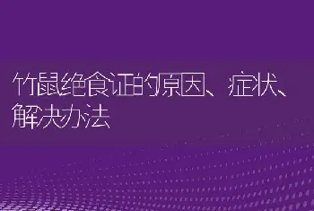 竹鼠绝食证的原因、症状、解决办法