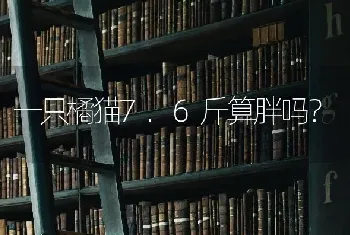 造梦西游4手机版金毛吼在锁妖塔第几层掉？