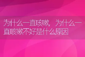 为什么一直咳嗽，为什么一直咳嗽不好是什么原因