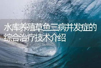 水库养殖草鱼三病并发症的综合治疗技术介绍