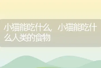 泰迪几个月最丑，泰迪几个月最丑灰泰迪吃什么眼睛亮