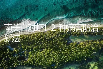 南美白对虾12种病害防治新法