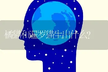 在郑州小区养阿拉斯加，物业会管嘛？