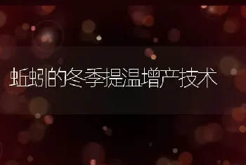 蚯蚓的冬季提温增产技术