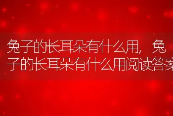 兔子的长耳朵有什么用，兔子的长耳朵有什么用阅读答案