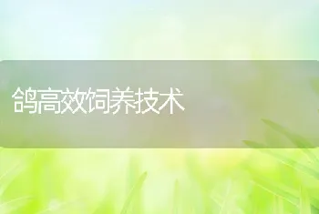 甲鱼白斑病防治方法