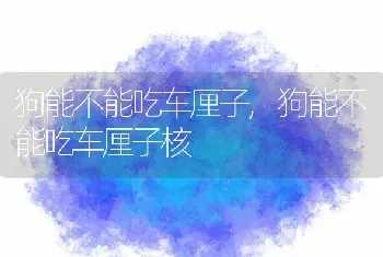 狗能不能吃车厘子，狗能不能吃车厘子核