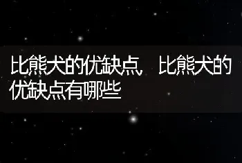 比熊犬的优缺点，比熊犬的优缺点有哪些