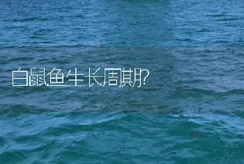 白鼠鱼生长周期？