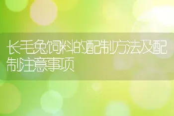 长毛兔饲料的配制方法及配制注意事项