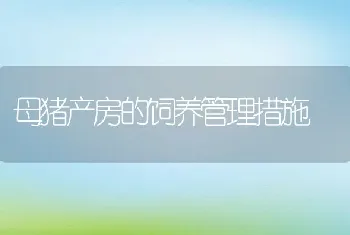 母猪产房的饲养管理措施