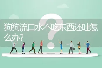 狗狗流口水不吃东西还吐怎么办？