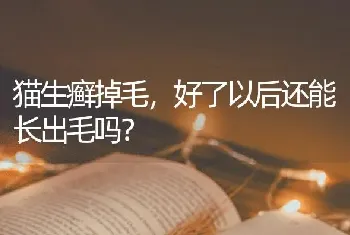 猫生癣掉毛，好了以后还能长出毛吗？