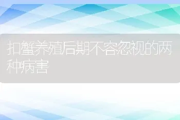 扣蟹养殖后期不容忽视的两种病害