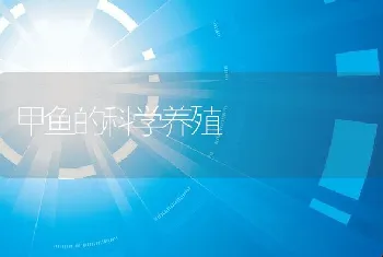 甲鱼的科学养殖